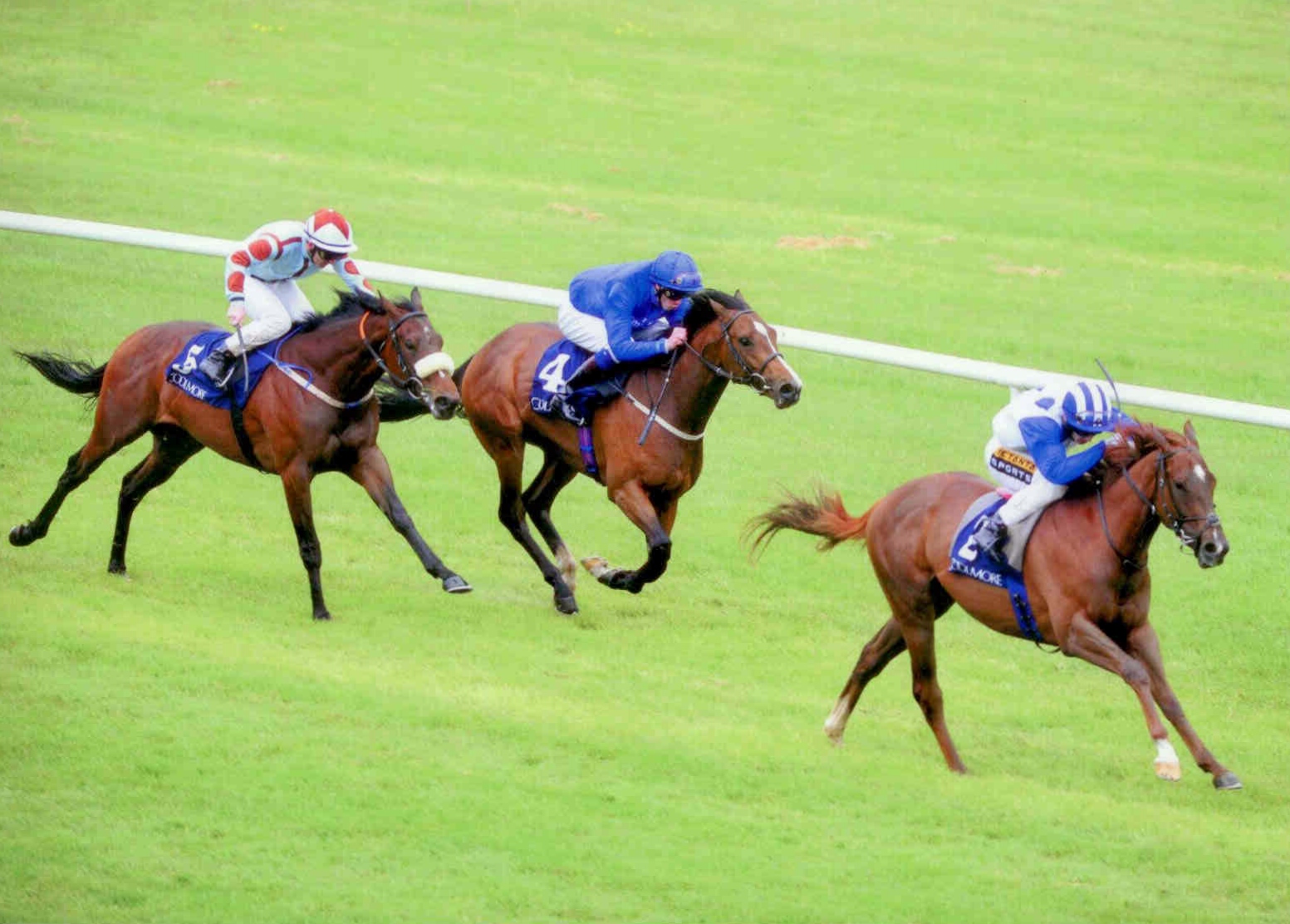 ARGENTERO becomes the first blacktype winner for sire Zoffany at Naas on June 1st 2015